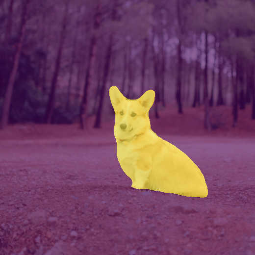 Every class the model assigns: the dog in yellow, the background in pink